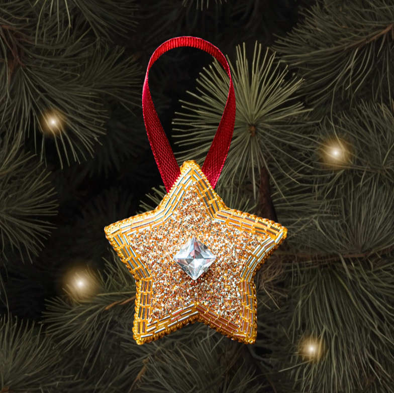 Christmas Star Goldwork Embroidery Kit for Beginners