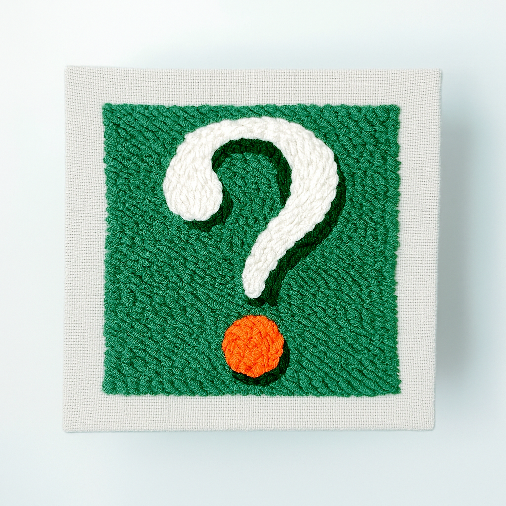 Mystery Punch Needle Kit