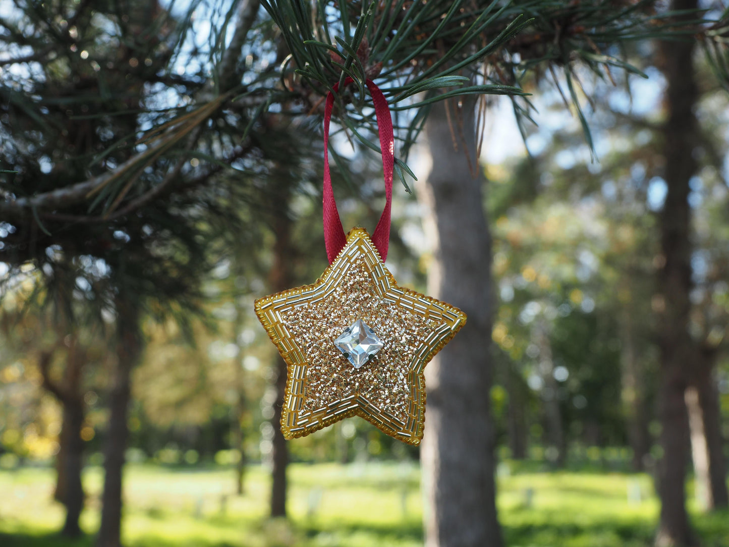 Christmas Star Goldwork Embroidery Kit for Beginners